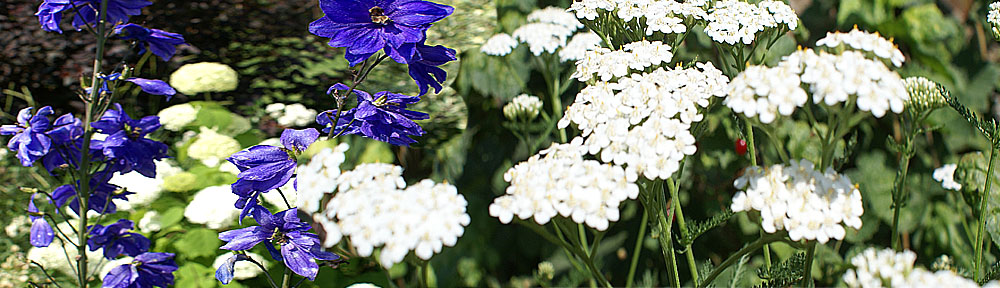 Wald&Wiesen-Berg&Garten